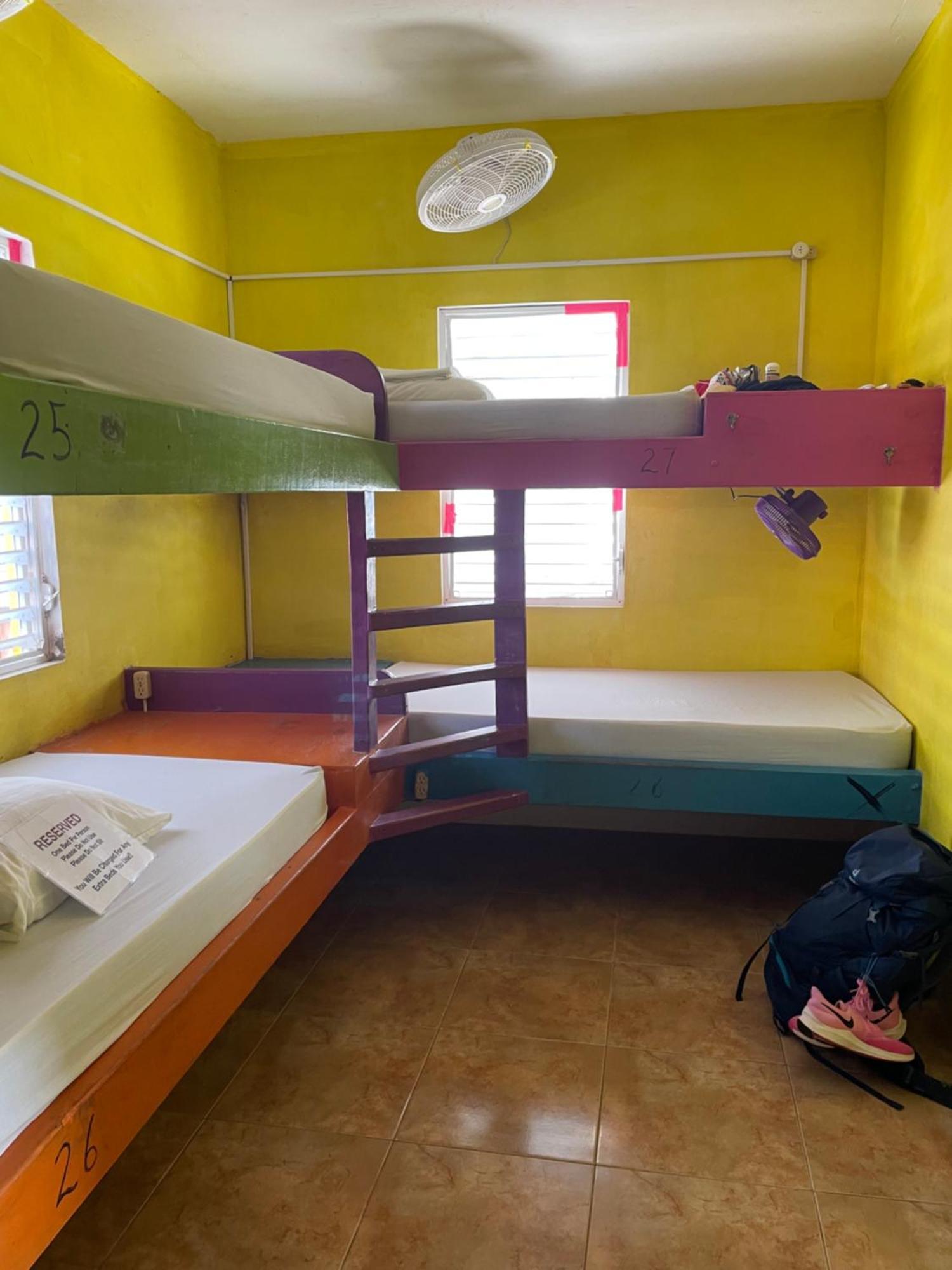Хостел Travellers Palm Backpackers Кей-Колкер Экстерьер фото